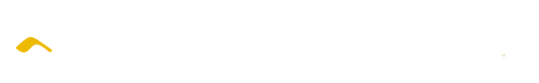 iconos